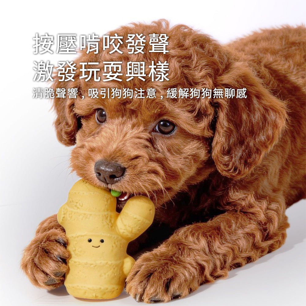 蔬菜乳膠發聲玩具 蒜頭