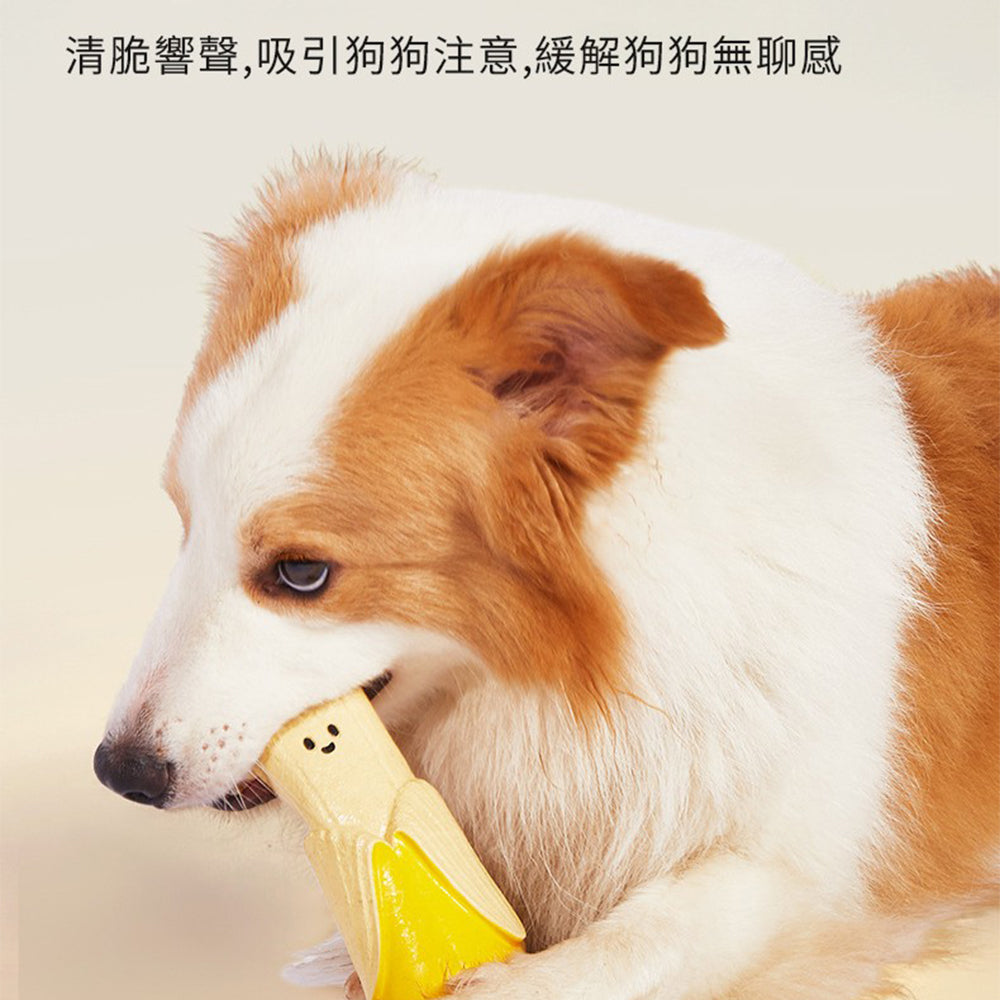 UWC剖一半菜乳膠發聲玩具 龜背竹