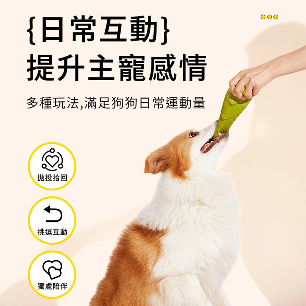 UWC剖一半菜乳膠發聲玩具 龜背竹