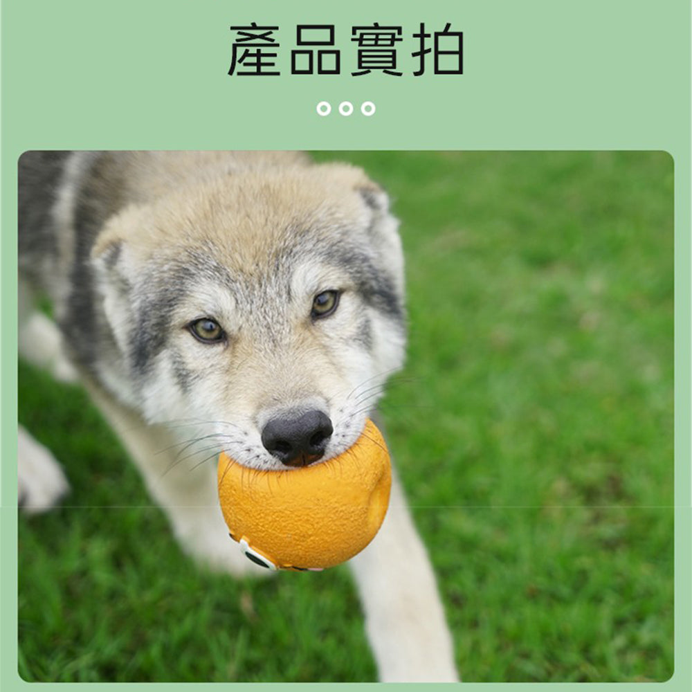 笑臉乳膠玩具 福笑圓球