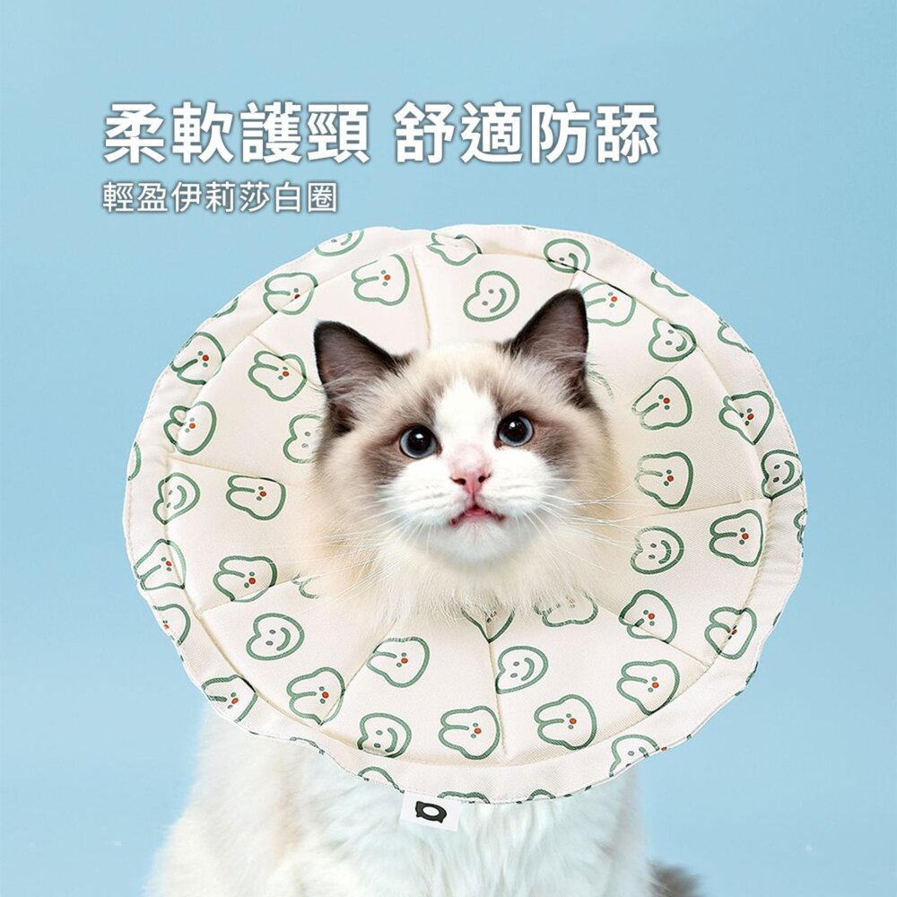 親膚海綿伊莉莎白(圓形) 小鴨
