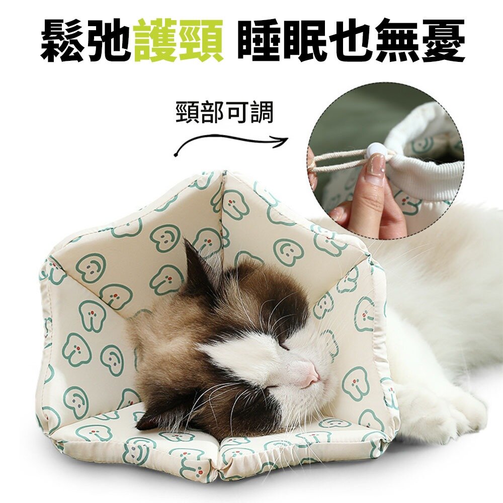 親膚海綿伊莉莎白(厚) 小熊