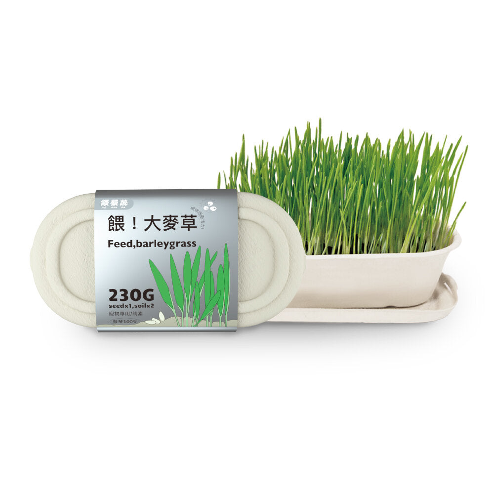 餵大麥草230g