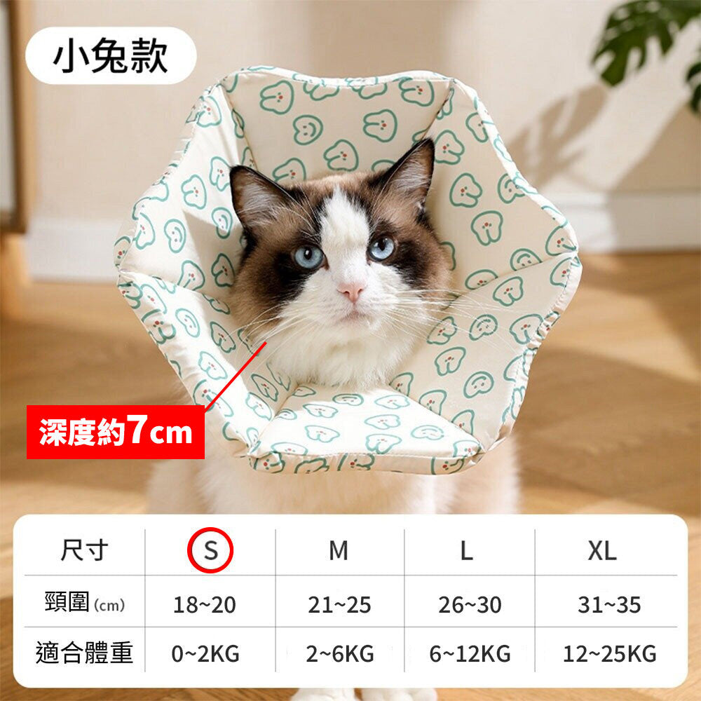 親膚海綿伊莉莎白(厚) 小兔