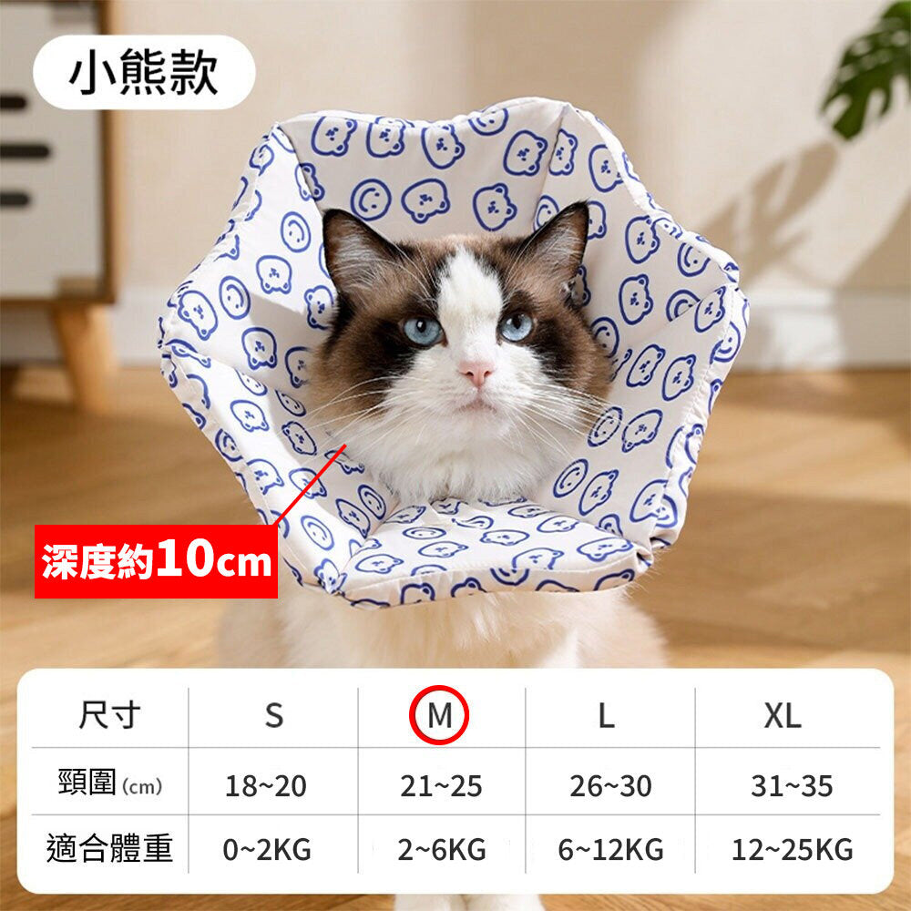 親膚海綿伊莉莎白(厚) 小熊