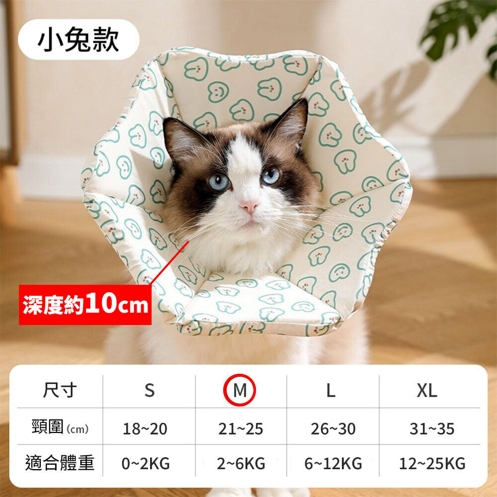 親膚海綿伊莉莎白(厚) 小兔
