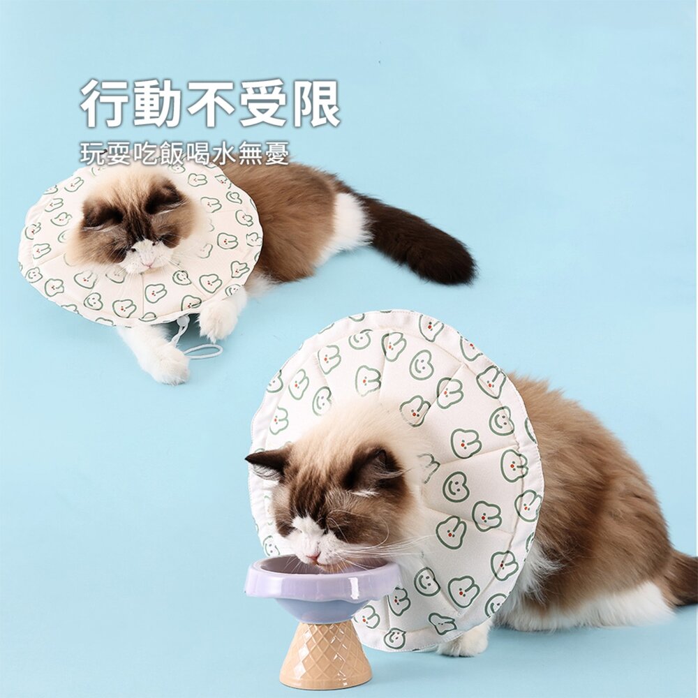 親膚海綿伊莉莎白(圓形) 小鴨
