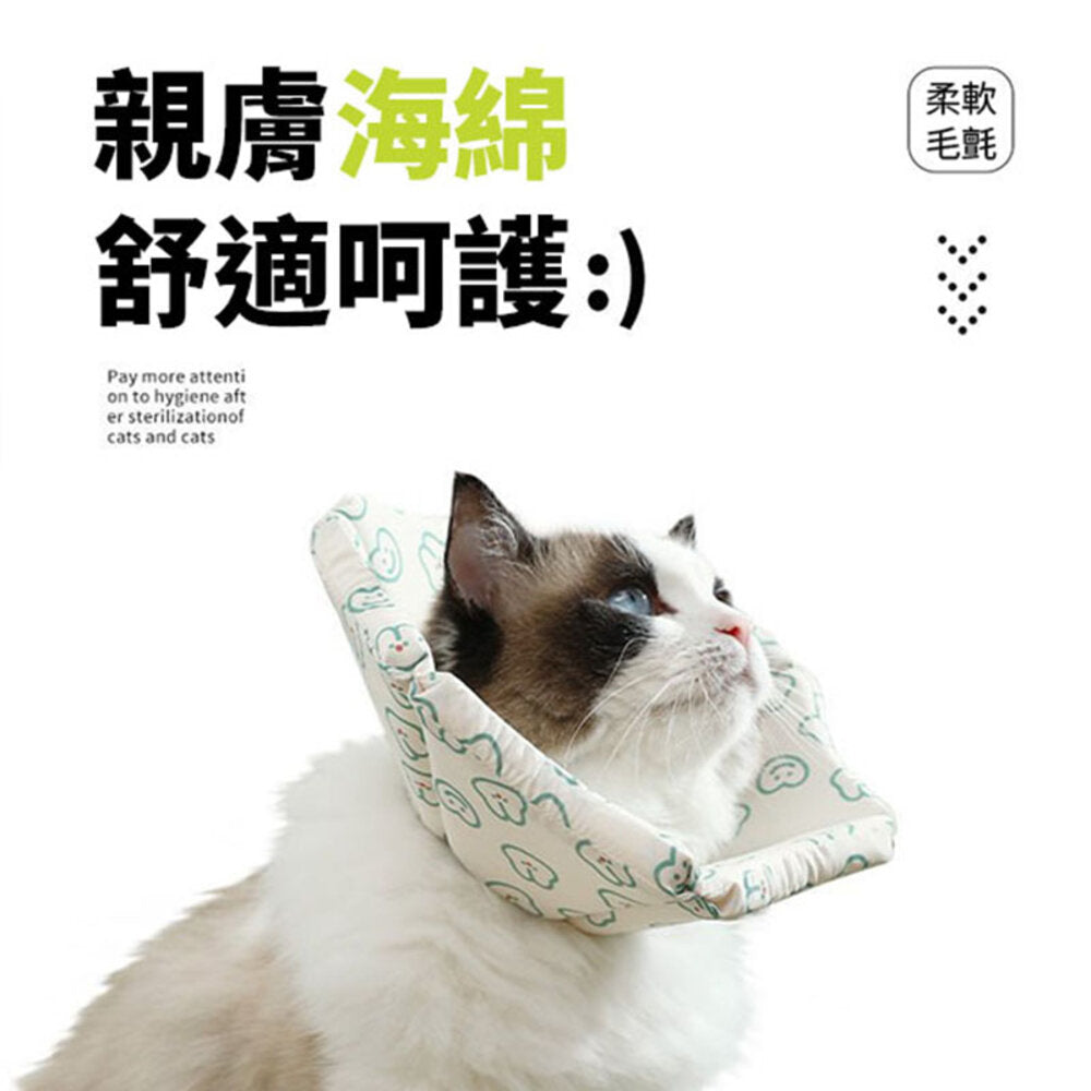 親膚海綿伊莉莎白(厚) 小熊