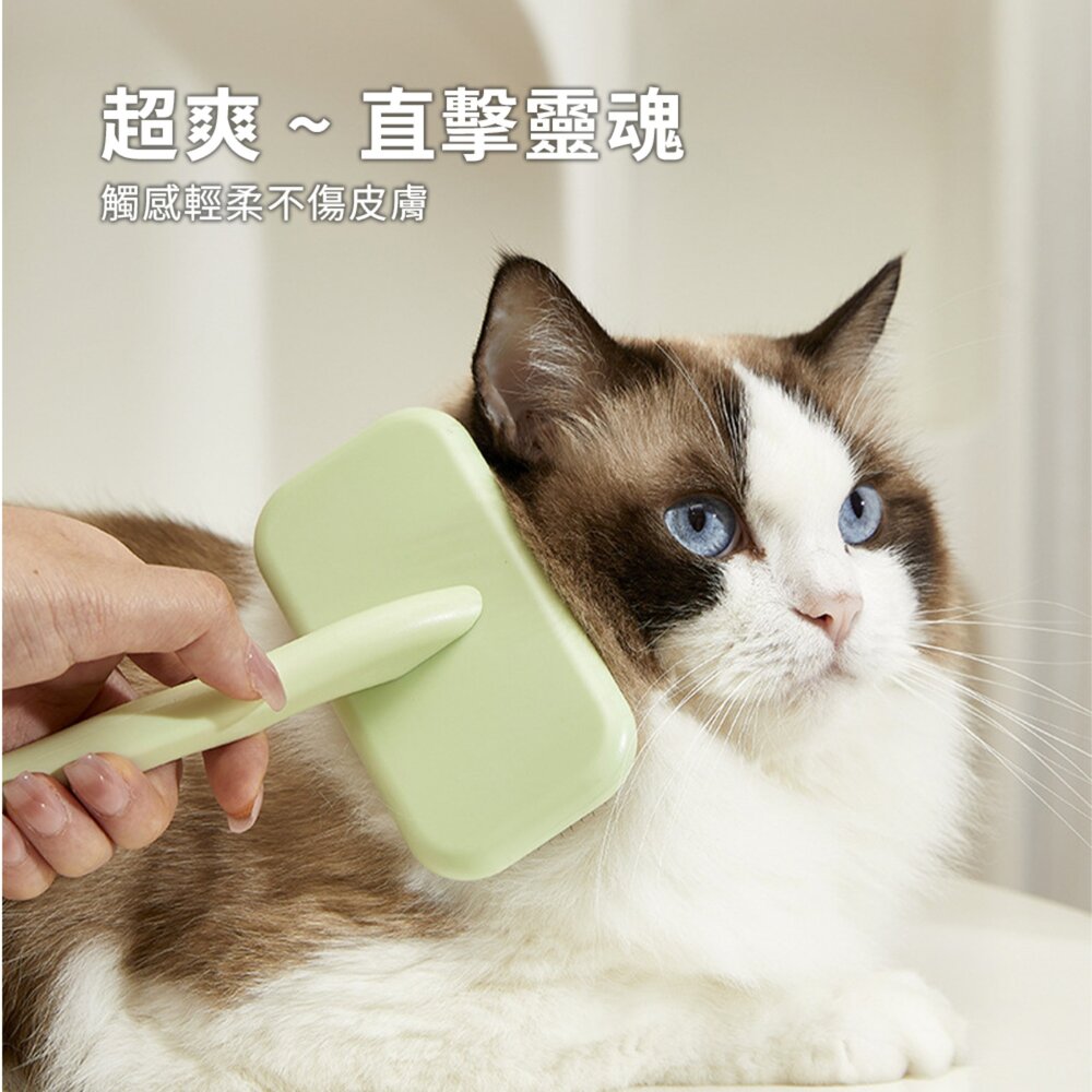 蓬鬆拉毛針梳方頭 芋紫