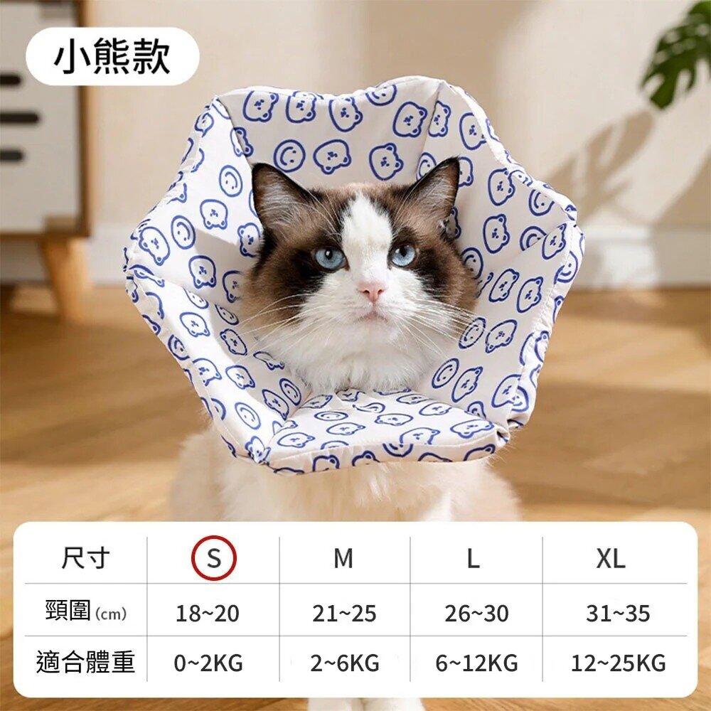 親膚海綿伊莉莎白(厚) 小熊