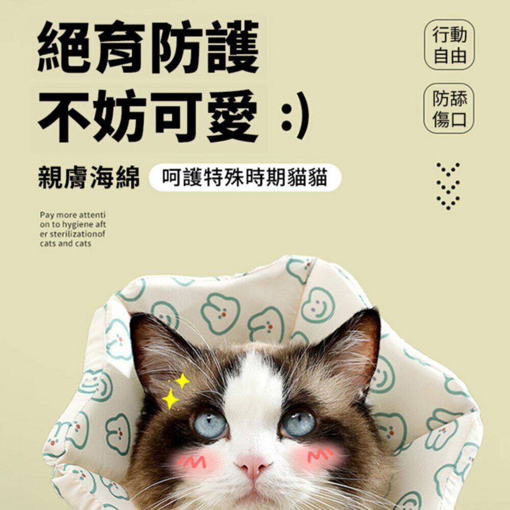 親膚海綿伊莉莎白(厚) 小熊