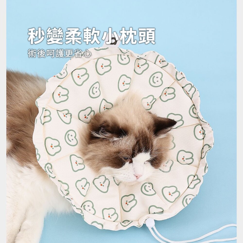 親膚海綿伊莉莎白(圓形) 小鴨
