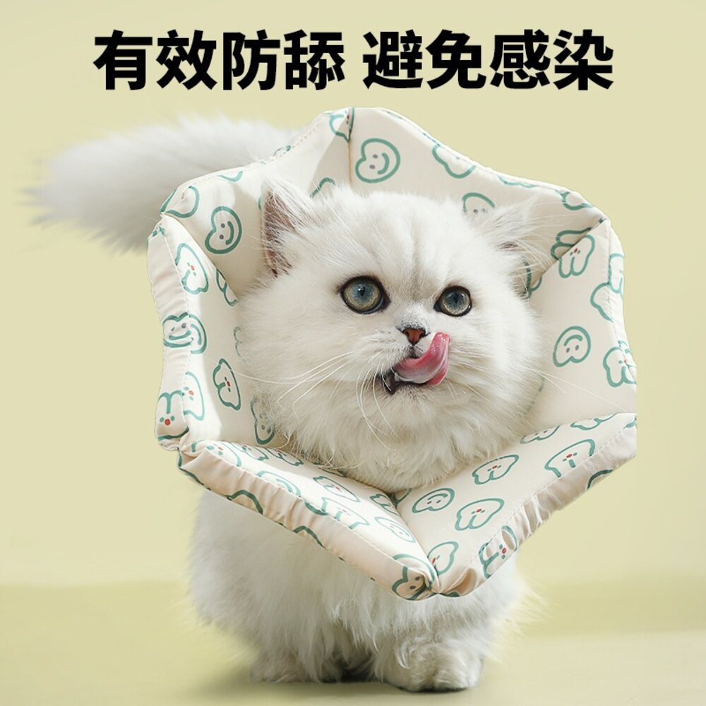親膚海綿伊莉莎白(厚) 小熊