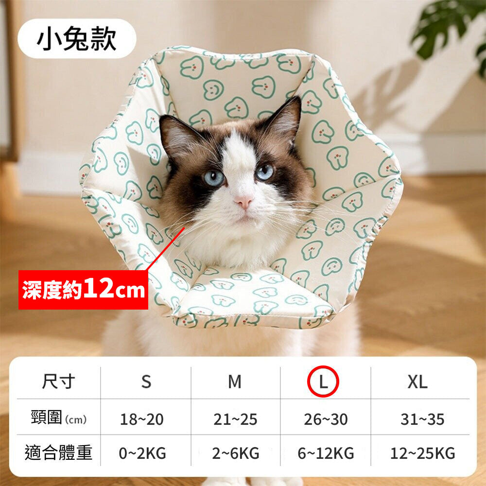 親膚海綿伊莉莎白(厚) 小兔