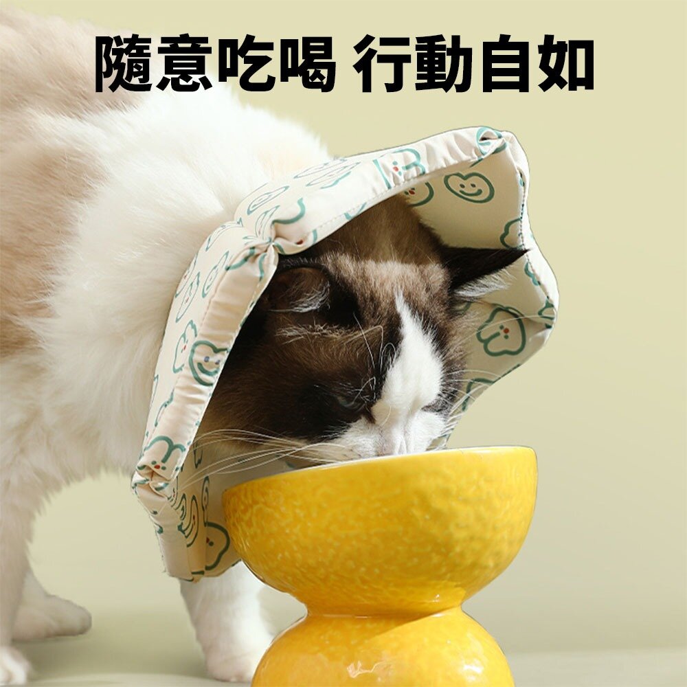 親膚海綿伊莉莎白(厚) 小熊