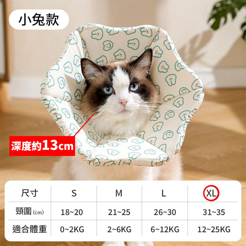 親膚海綿伊莉莎白(厚) 小兔