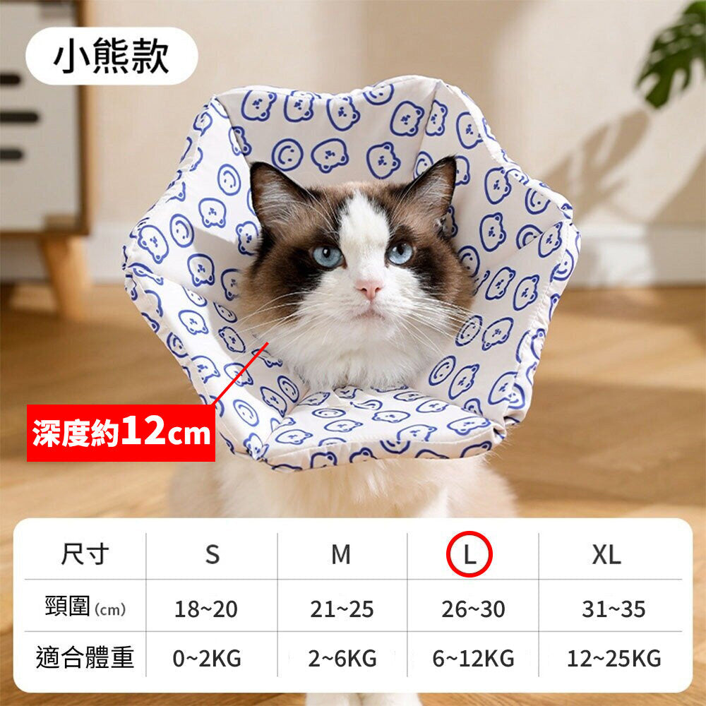 親膚海綿伊莉莎白(厚) 小熊