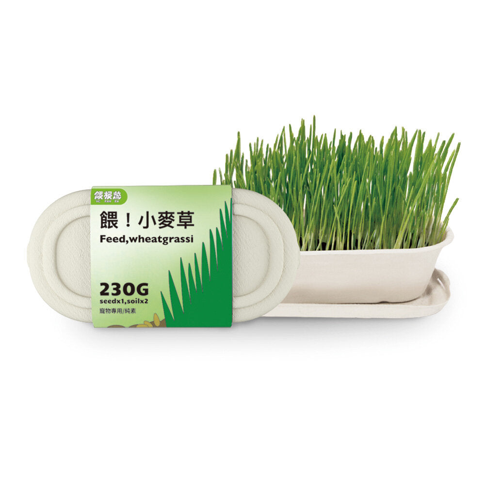 餵小麥草230g