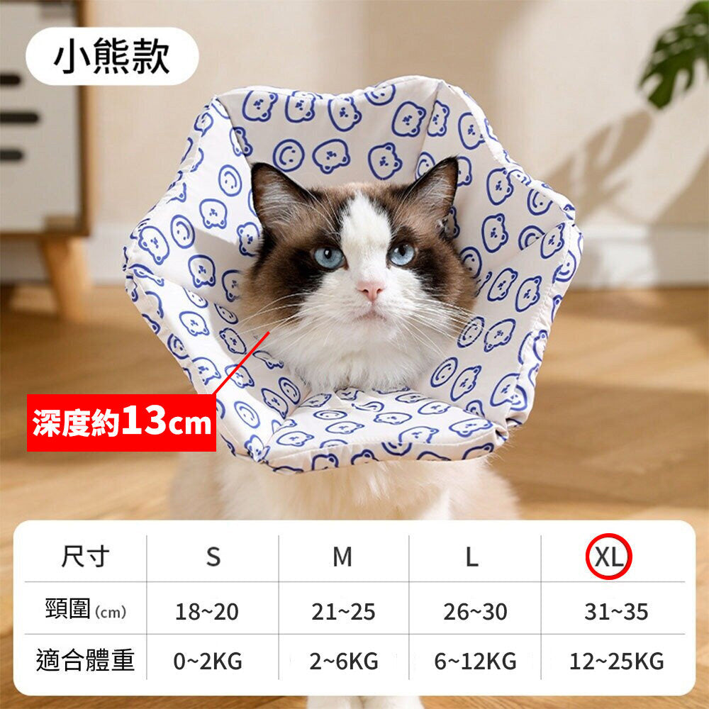 親膚海綿伊莉莎白(厚) 小熊